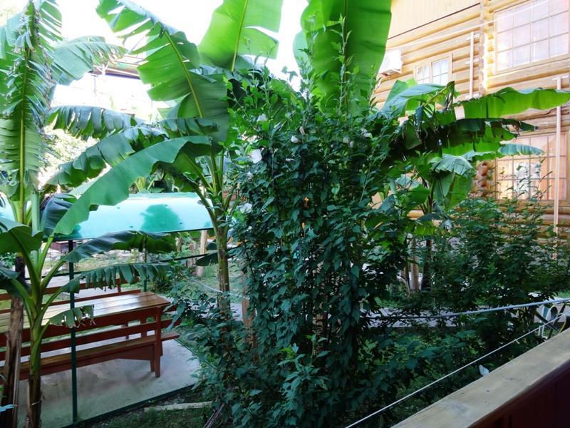 Гостевой Дом "Сария" Hotel #N/A Buitenkant foto